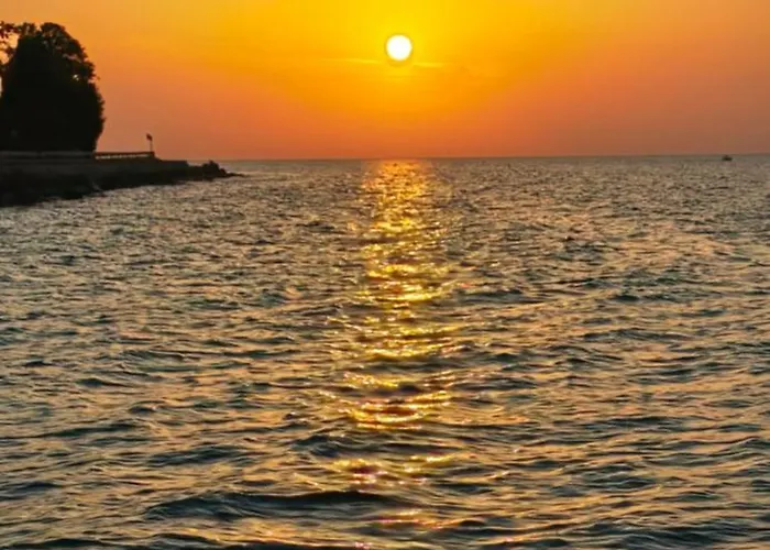 Molet 公寓 科佩尔